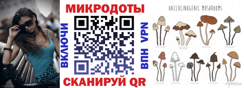 Купить где  Назрань  Галлюциногенные грибы Psilocybine cubensis 